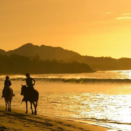 Pitaya Lodge Потреро Екстер'єр фото